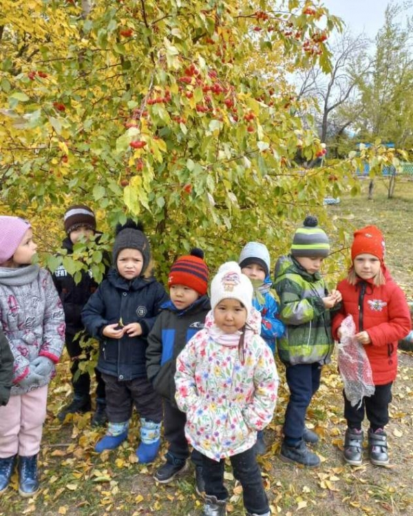 Осень в детском саду