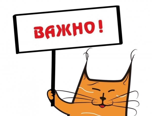 Садик закрывается на ремонт