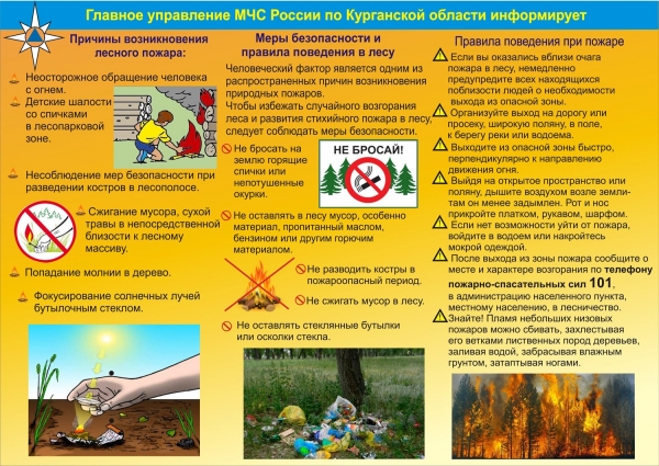 Памятка "Лесной пожар"