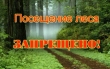 Постановление Администрации города Кургана от 22.04.2020 г. № 2397 "Об ограничении пребывания граждан в лесах и въезда в них транспортных средств на территории города Кургана"