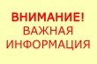 Внимание! Завтра, 11 августа, детский сад не работает.